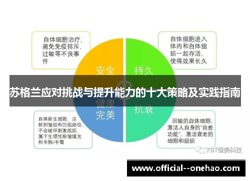 苏格兰应对挑战与提升能力的十大策略及实践指南 苏格兰应对挑战与提升能力的十大策略及实践指南