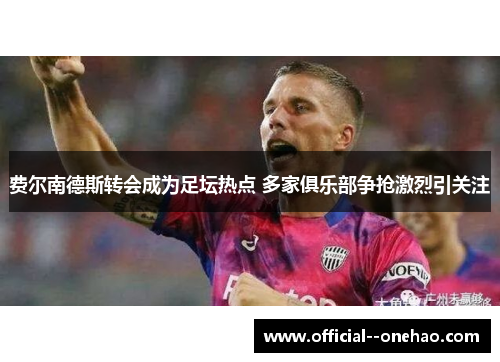 费尔南德斯转会成为足坛热点 多家俱乐部争抢激烈引关注 费尔南德斯转会成为足坛热点 多家俱乐部争抢激烈引关注