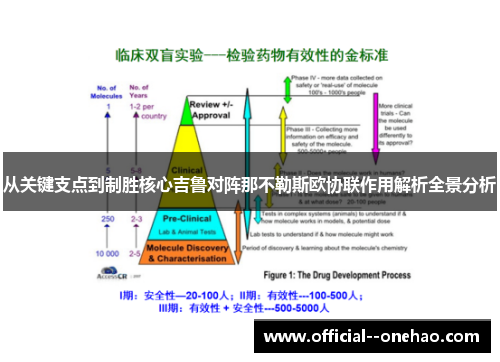 从关键支点到制胜核心吉鲁对阵那不勒斯欧协联作用解析全景分析 从关键支点到制胜核心吉鲁对阵那不勒斯欧协联作用解析全景分析