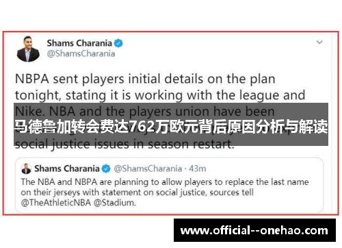 马德鲁加转会费达762万欧元背后原因分析与解读