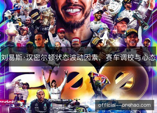 刘易斯·汉密尔顿状态波动因素，赛车调校与心态